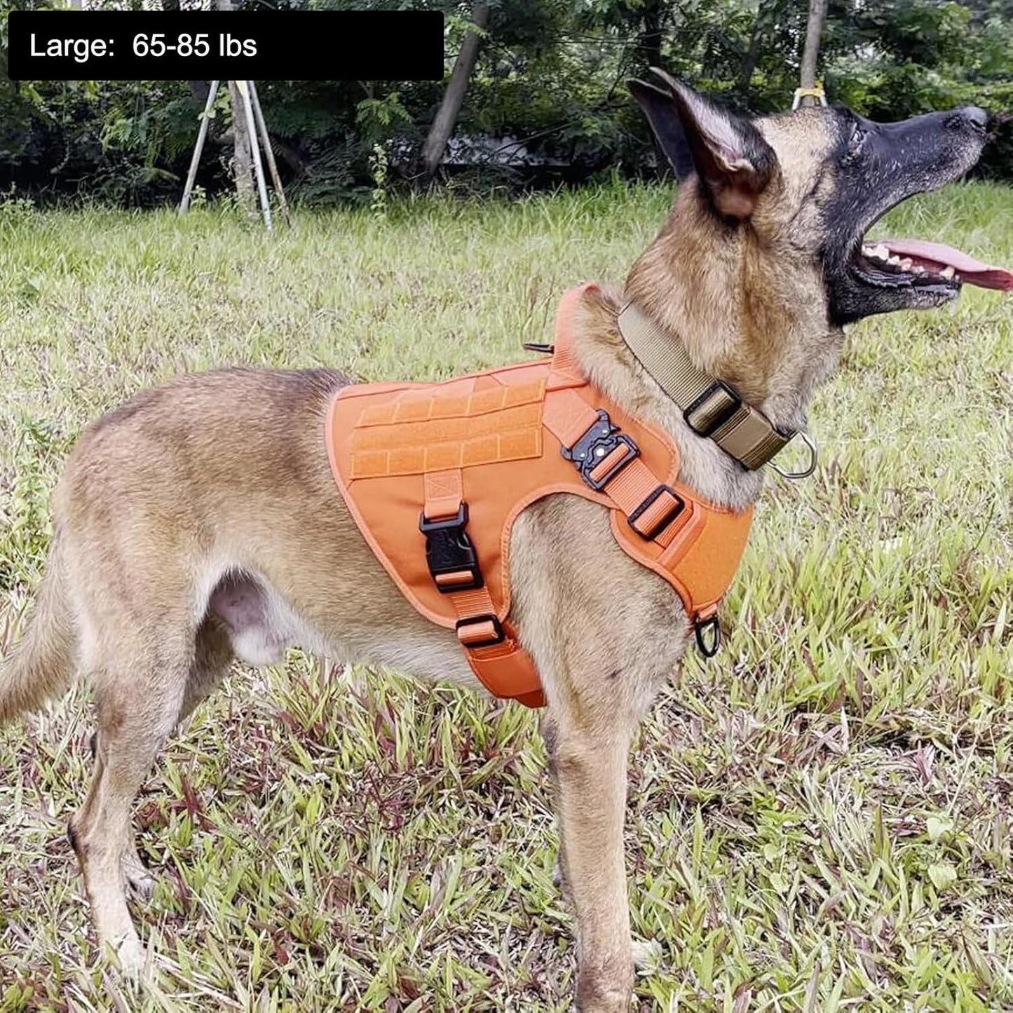 ICEFANG Tactical Dog Harness, Large Size,2X Metal Buckle,Working Dog MOLLE Vest with Handle,No Pulling Front Leash Clip,Hook and Loop Panel (Orange,L (Pack of 1))