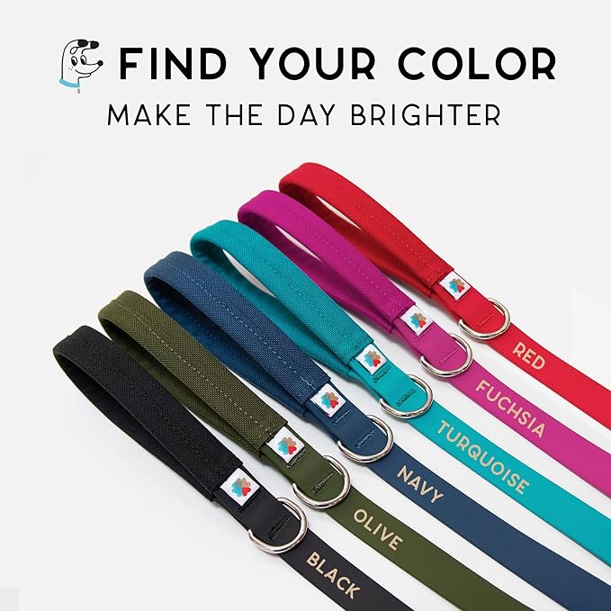 Wildebeest Funston Waterproof Dog Leash - Heavy Duty 4ft Long Leash for Small, Medium and Large Dogs - 1000D Nylon Scratch & Stink-Resistant & Pill-Free - Nylon Wrap Handle 3/4" Wide, 4 ft Length