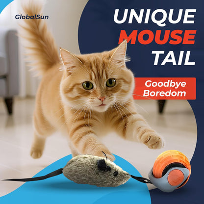 Motion Activated Self-Moving Cat Toy Ball – GlobalSun Speedy Tail 2.0 Automatic Rolling Ball Cat Toy with Mouse & Feather Tails, USB Rechargeable Interactive Toy for Indoor Cats