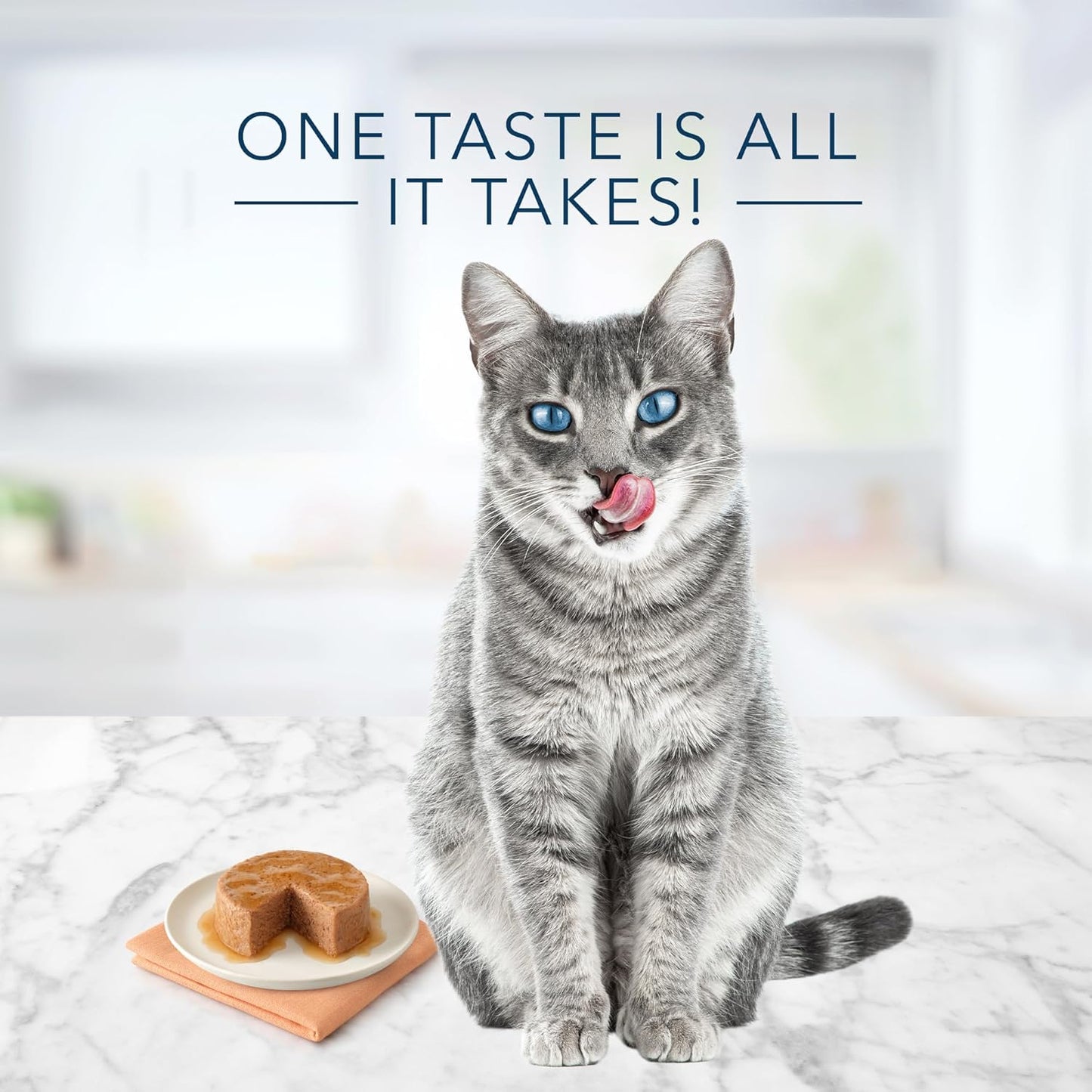 Blue Buffalo Tastefuls Natural Pate Wet Cat Food, Chicken Entrée 5.5-oz cans (Pack of 24)