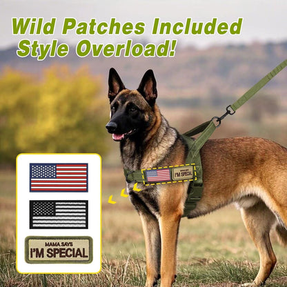 Forestpaw No Pull Dog Harness with Large Handle,Slip on Reflective Vest with Quick Release Buckle,Comfortable Flannel Lining for Medium Large Dogs Walking Training (Includes 3 Patches),Green L