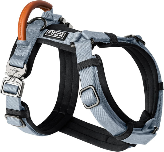 MADE TO ROAM Premium Explorer Harness - Y-Shaped Dog Harness with Adjustable Durable Nylon, Soft Padding, Metal Buckles and Leather Handle for Small, Medium, Large Dogs (Virginia Mountains, Size 2)