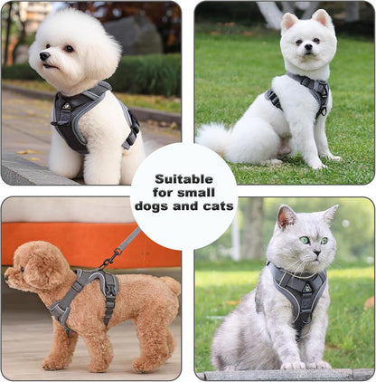 SOLMOONY Small Dog Harness,Soft Mesh Puppy Harness and Leash Set,No Escape Cat Harnesses for Training Walking,Reflective Adjustable Puppy Vest for Small Medium Dogs, Cats (Grey, S)