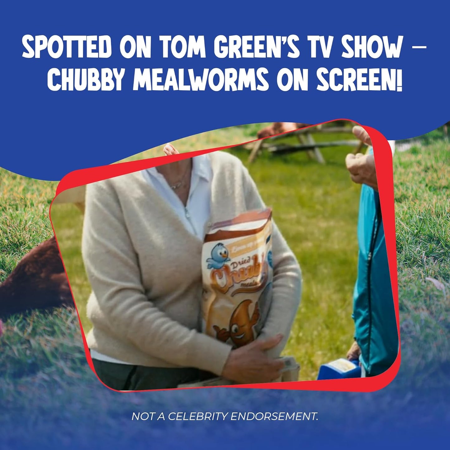 Chubby Dried Mealworms 3Lb Premium Non-GMO Dried Mealworms for Chickens High Protein Chicken Feed Meal Worms for Wild Birds