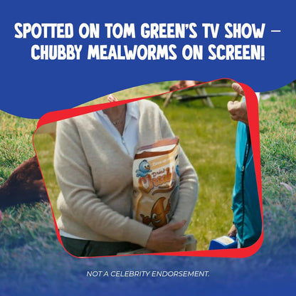 5Lb Chubby Dried Mealworms High Protein Treat for Chickens, Ducks & Birds