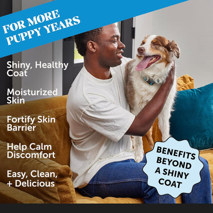 Pet Honesty Dog Skin and Coat Supplement with Salmon Oil for Dogs - Allergy Itch Relief + Skin & Coat Health, Dog Food Topper Bone Broth with Salmon Oil, Collagen, Biotin + Vitamin E (12 oz)