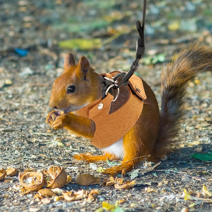 3 Pcs Bearded Dragon Harness and Leash Set Adjustable Leash Soft Leather Bearded Dragon Harness Lizard Accessory for Squirrels and Other Small Reptiles(Brown, 3 Sizes)