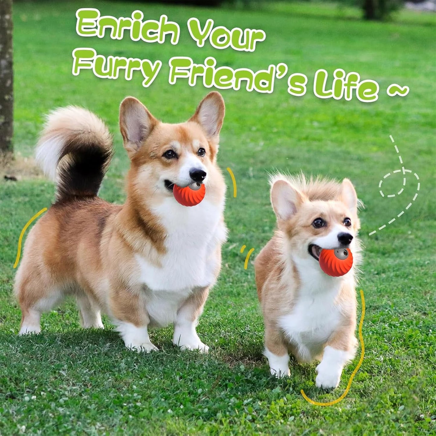 Interactive Cat Ball Toys- 2025 New Bouncing Slow Feeder, Durable Motion Activated Rolling Ball Toys for Dogs Cat to Keep Them Engaged Busy