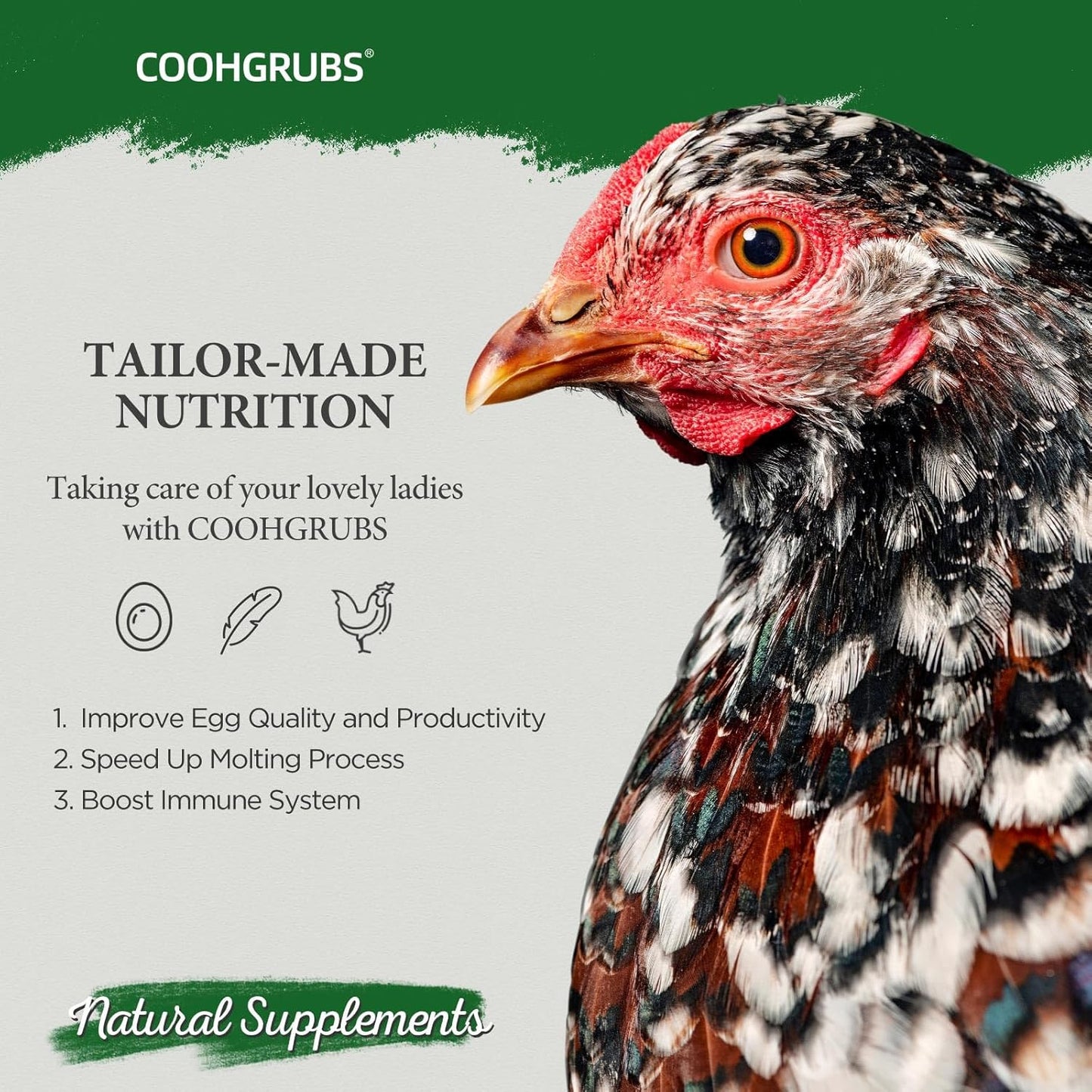 Dried Mealworms for Birds, Non-GMO High Protein Chicken Treats & Poultry Feed, 2 lb Bag