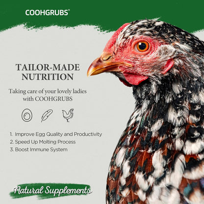 Dried Mealworms for Birds, Non-GMO High Protein Chicken Treats & Poultry Feed, 5 lb Bag