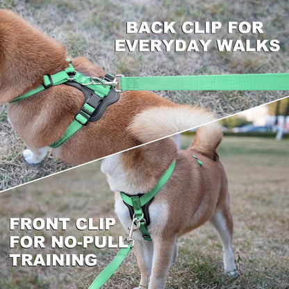 Plutus Pet Adjustable No Pull Dog Harness with Leather Accents, Heavy Duty Reflective Nylon Vest for Training, Hiking, Easy Walk Harness for Small, Medium, Large Dogs (Teal, S)