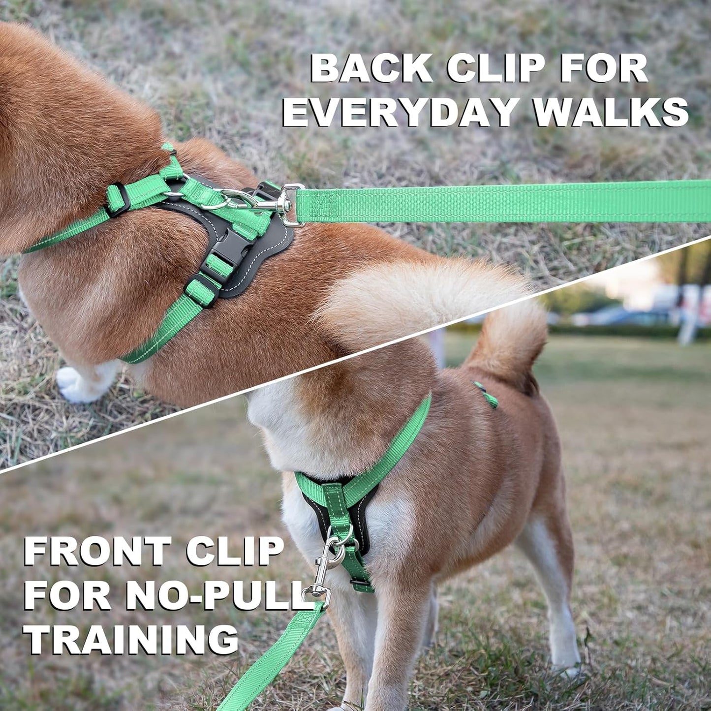 Plutus Pet Adjustable No Pull Dog Harness with Leather Accents, Heavy Duty Reflective Nylon Vest for Training, Hiking, Easy Walk Harness for Small, Medium, Large Dogs (Teal, L)