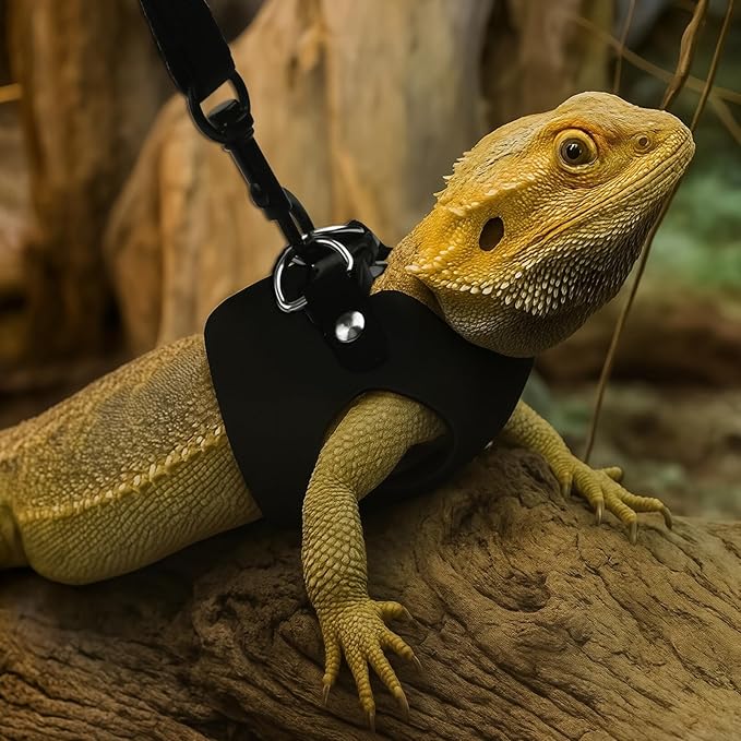 3Size Black Bearded Dragon Leash and Harness Set, Adjustable Bearded Dragon Harness with Lizard Traction Rope for Reptile, Lizard Leash/Squirrel Harness/Small Rabbit Traction Rope (S, M, L)