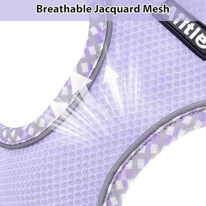 AIITLE XXS Dog Harness & Leash Set - Breathable Reflective No-Choke Small Dog Harness for Teacup Puppies, Indoor/Outdoor Use - Boston Terrier, Maltese, Chihuahua (Purple, XXS)