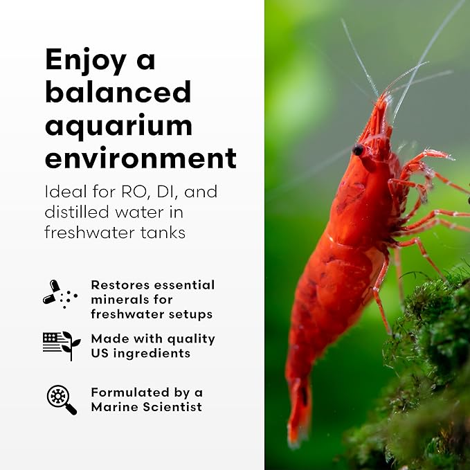 Brightwell Aquatics Remineralīz – Restores GH & TDS for Freshwater Aquariums, Replenishes Essential Minerals for Soft Water, Supports Fish & Plant Health, 2L