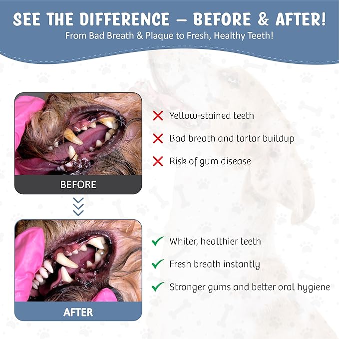 Dog Dental Spray Removes Tartar, Plaque and Freshens Breath Instantly. The Most Advanced Dental Spray for Healthy Teeth, Gums and Oral Health Care for Your Dog, Cat or Pet - 1-8 oz. Bottle