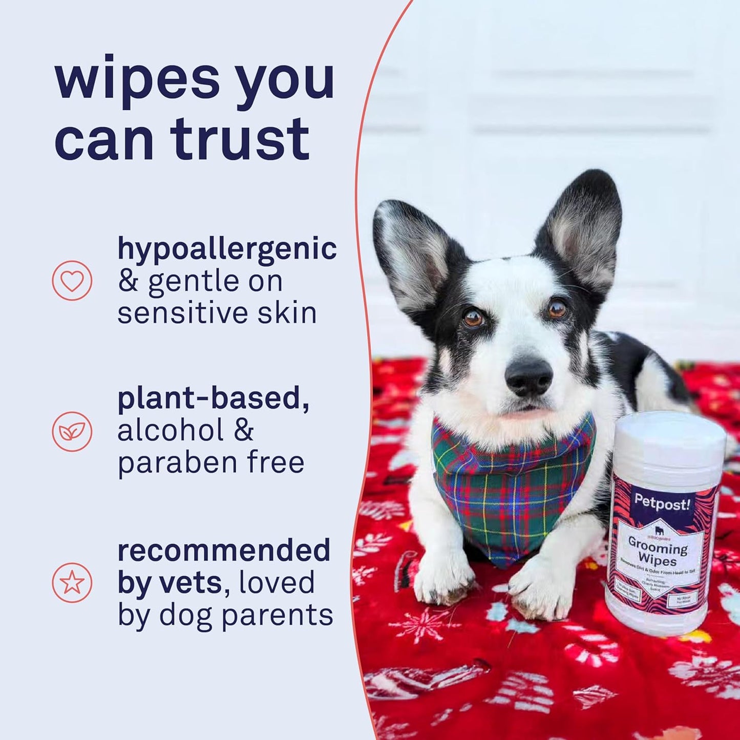 Petpost Large Grooming Wipes for Dogs | 70 Count Deodorizing Dog Cleaning Wipes with Coconut Extract & Aloe | Gentle Pet Wipes with Cherry Blossom Scent for Full-Body Grooming