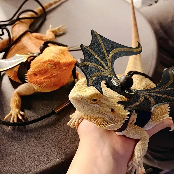 Bearded Dragon Leash and Harness Set,3 Size Adjustable Reptile Harness with Dinosaur Wings Safe Walking Accessories for Bearded Dragons,Lizards Small Reptiles Breathable and Escape Proof Design Black