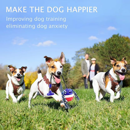 Aggressive Chewer Dog Toys - Rope Toys with Suction Cup, Teething Treats & Puzzle Food Dispensing Ball (Navy Blue)