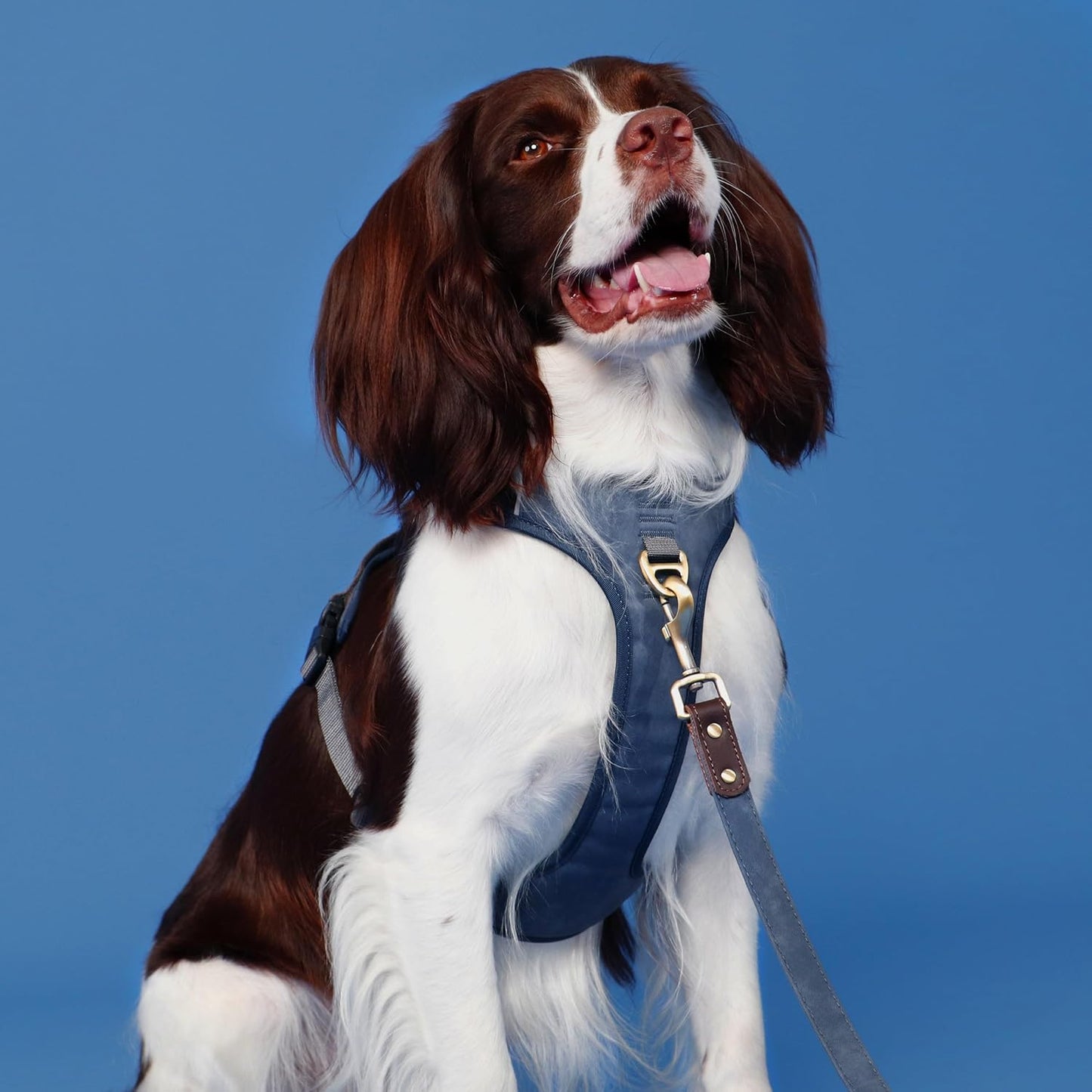 No Pull Dog Harness Medium Sized Dog,Stylish PU Leather Vest with Easy Control Handle,No Choke Front Clip with 2 Metal Leash Clips,Reflective & Adjustable for Walking,Blue,Chest 22-29"