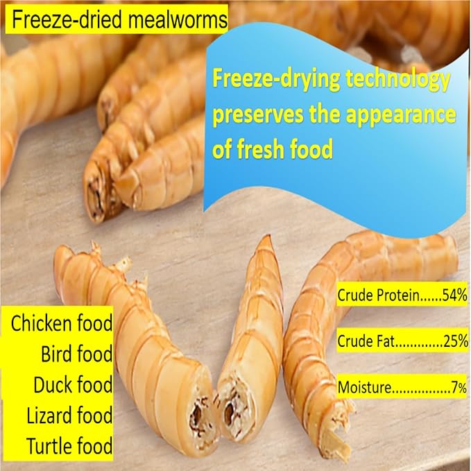 20 oz freeze-dried mealworms - Low temperature freeze-dried process, non-destructive high-end process to remove moisture. The fragrant, meaty dried worms provide a high protein source for chickens
