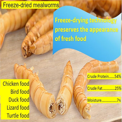 20 oz freeze-dried mealworms - Low temperature freeze-dried process, non-destructive high-end process to remove moisture. The fragrant, meaty dried worms provide a high protein source for chickens