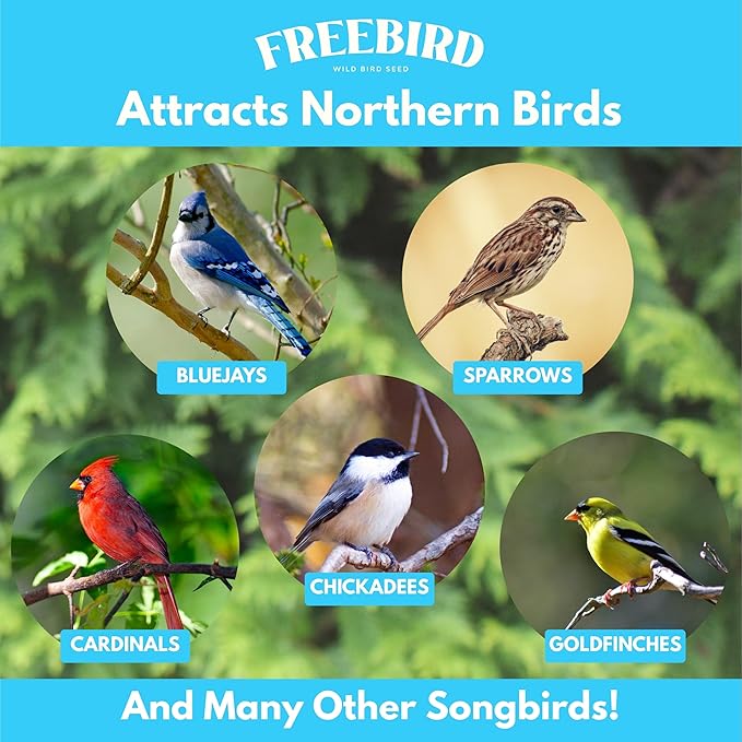 Premium Sunflower Select Bird Seed by Freebird - Black Oil Sunflower Seeds, Sunflower Kernels, Safflower Seeds - Finch and Songbird Wild Bird Seed for Outside Feeders - 6lb Bag