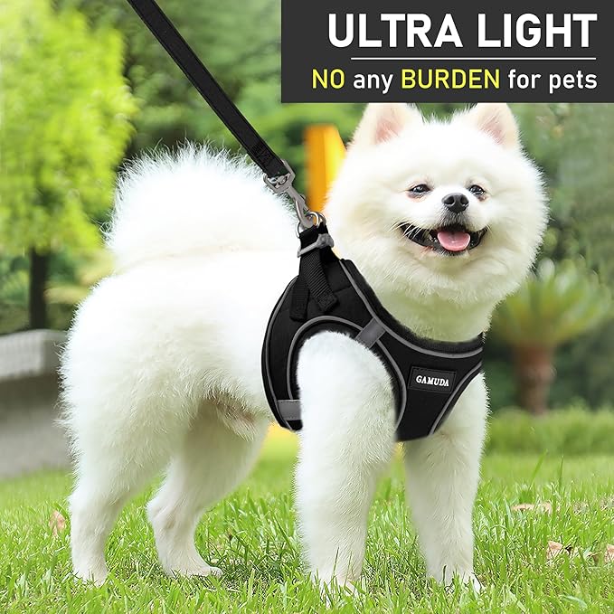 GAMUDA Small Dog Harness Collar and Leash Set, Step in No Chock No Pull Linen Fabric Soft Mesh Dog Vest Harnesses Reflective for Dogs Puppy Cats Kitten Rabbit (Black, XS)