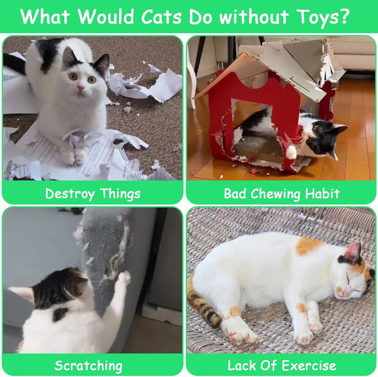 6 Pack Cat Toys Pineapple, Catnip Kitten Toys for Indoor Cats Kitty, Interactive Cat Nip Chew Kicker Toy for All Pet Breed