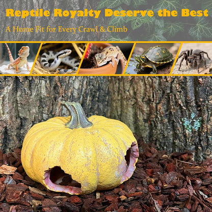 Pumpkin Leopard Gecko Hide Reptile Bearded Dragon Tank Hideout Caves Accessories Halloween Turtle Lizard Snake Décor Amphibian Habitat Tortoise Terrarium Decoration