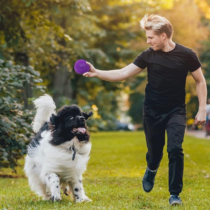 VITEVER 3 Colors 4.5” Heavy Duty Squeaky Dog Toy Balls for Medium Large Dogs, Dog Chew Toys for Teething, Spiky Balls for Aggressive Chewers, Durable Toys for Teeth Cleaning and Training