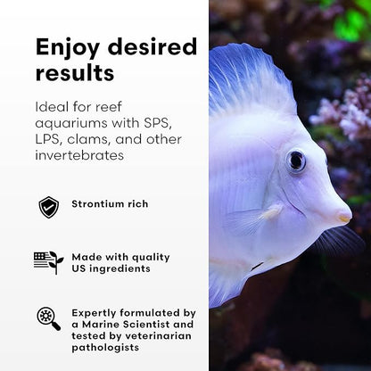 Brightwell Aquatics Strontion High-Strength Ionic Strontium Supplement for Reef Aquariums Supports Coral Skeletal Growth Aragonite Formation SPS LPS, 250 ml