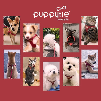 Puppytie No Pull Small Dog Harness with Multifunction Dog Leash,Lightweight Soft Adjustable No Choke Escape Proof Pet Harness Vest Pet Harness Vest,red Hawthorn,S