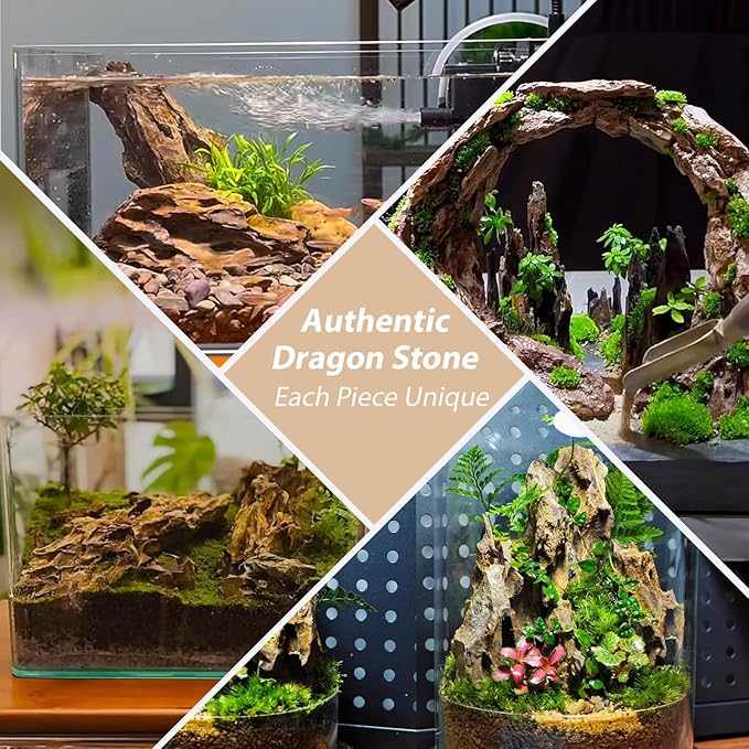 Aquarium Rocks Dragon Stone Natural Hardscape Stone for Aquariums, Fish Tanks, Bonsai, Terrariums, Wargaming Dioramas, Indoor or Outdoor Gardens-5Lb(2-6 Inch)