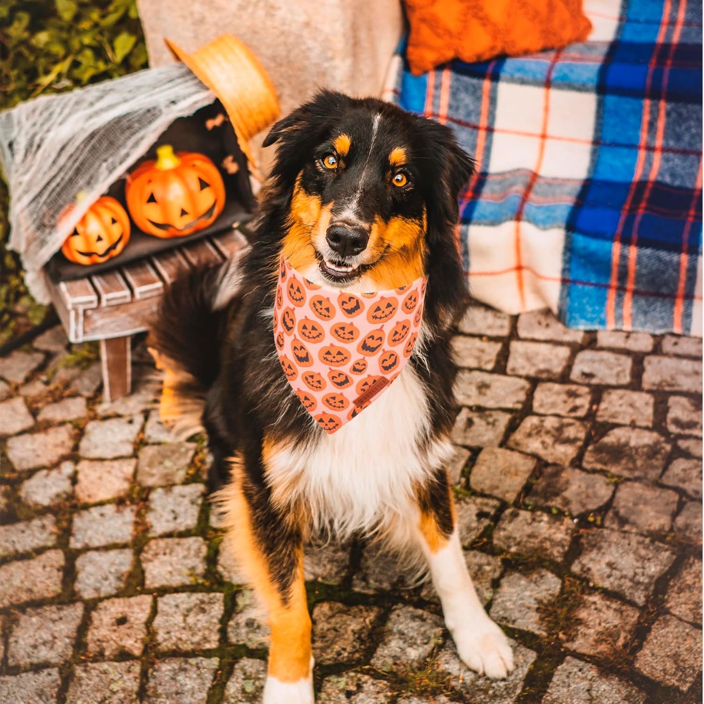 ADOGGYGO Halloween Dog Bandana, Pumpkin Ghost Pet Scarf, Premium Durable Fabric, Adjustable Fit Halloween Bandanas for X-Large Dogs Pets (X-Large)