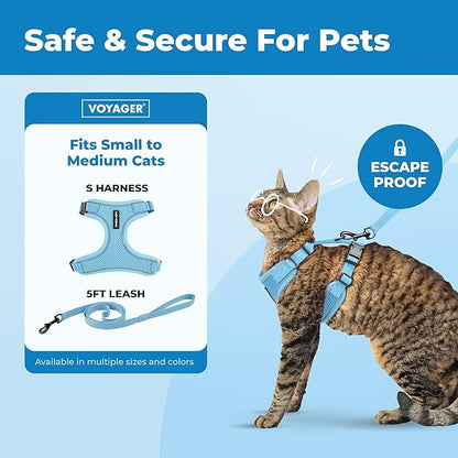 Voyager Escape Proof Cat Harness and Leash Set with Reflective Stitching, Neoprene Handle 5ft - Supports Small, Medium and Large Cats, Kittens for Walking by Best Pet Supplies - Baby Blue, S