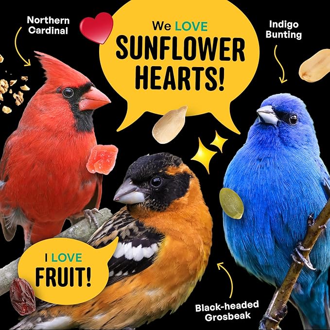 No Mess with Fruit Wild Bird Seed – 10 lb. 100% Edible Shell-Free Blend with Sunflower Hearts, Peanuts, Tree Nuts, Pumpkin Seed & Real Fruit – No Waste Bird Seed for Outside Feeders