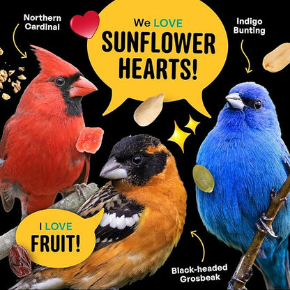No Mess with Fruit Wild Bird Seed – 10 lb. 100% Edible Shell-Free Blend with Sunflower Hearts, Peanuts, Tree Nuts, Pumpkin Seed & Real Fruit – No Waste Bird Seed for Outside Feeders