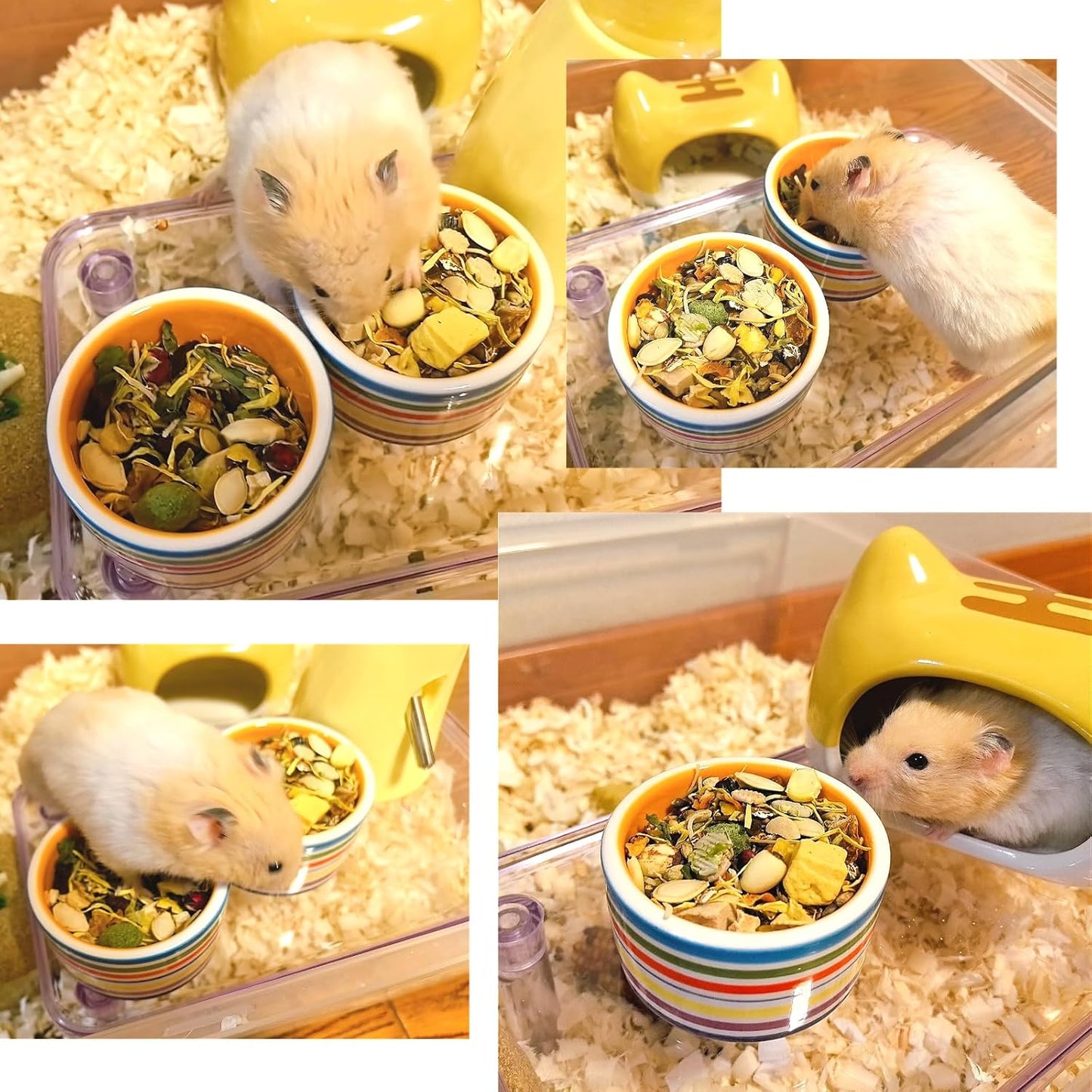 2PCS Hamster Bowl Ceramic Food Water Feeding Dish for Dwarf Syrian Hamsters Gerbils Mice Rats
