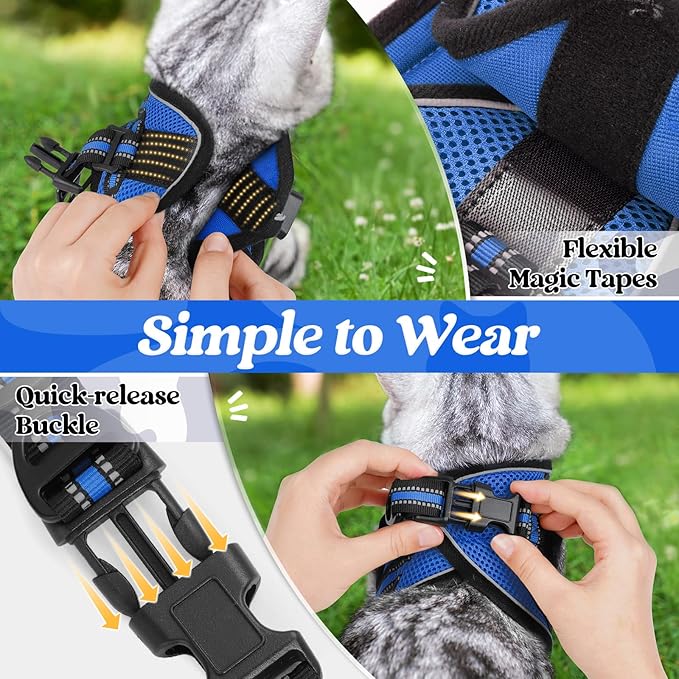 rabbitgoo Cat Harness and Leash Set for Walking Escape Proof, Adjustable Soft Kittens Vest with Reflective Strip for Cats, Comfortable Outdoor Vest, Blue, M