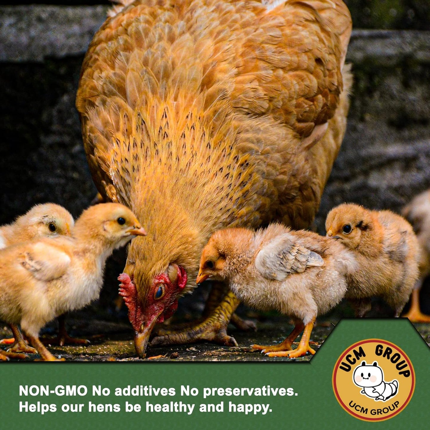 UCM Group 5LB Dried mealworms for Wild Birds, Chickens, High Protein Organic Chicken Feed, 100% Non-GMO for Chickens, Ducks, Turtles and Reptiles