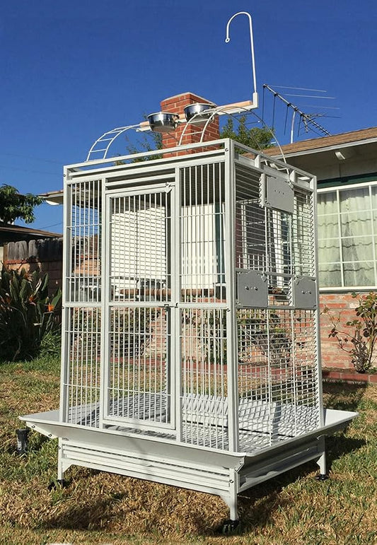 X-Large Double Ladders Open/Close Play Perch Stand Top Wrought Iron Bird Parrot Parakeet Finch Macaw Cockatoo Home Cage Include Seed Guard and Toy Hook