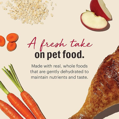 The Honest Kitchen Wholemade™ Whole Grain Turkey Dog Food, 10 lb Box