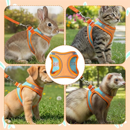 Bunny Harness and Leash Set, Adjustable Double Buckles Breathable Mesh Rabbit Vest with Reflective Strips, Escape Proof Small Pet Walking Training Gear for Rabbits, Kittens, Ferrets, Guinea Pigs (S)