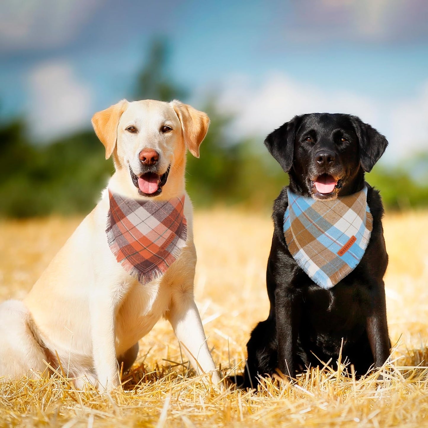 ADOGGYGO Fall Dog Bandanas with Tassels Edges, Stylish Plaid Pet Halloween Thanksgiving Scarf Bib, Orange Plaid Fall Bandanas for Large X-Large Dogs Pets (X-Large)