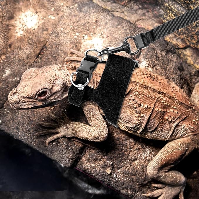 3 Pcs Escape Proof Bearded Dragon Harnesses and Leash Set, 3 Sizes Adjustable Soft Leather Lizard Leash Harness Small Animal Walking Vest for Squirrel Rat Bearded Dragon Lizard Small Reptiles