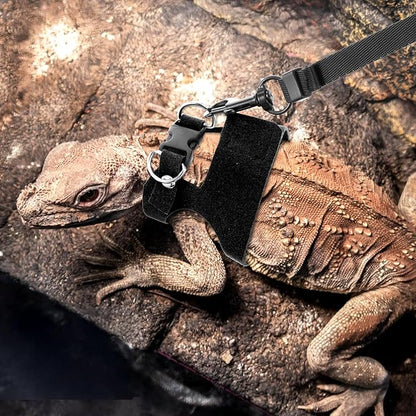 3 Pcs Escape Proof Bearded Dragon Harnesses and Leash Set, 3 Sizes Adjustable Soft Leather Lizard Leash Harness Small Animal Walking Vest for Squirrel Rat Bearded Dragon Lizard Small Reptiles