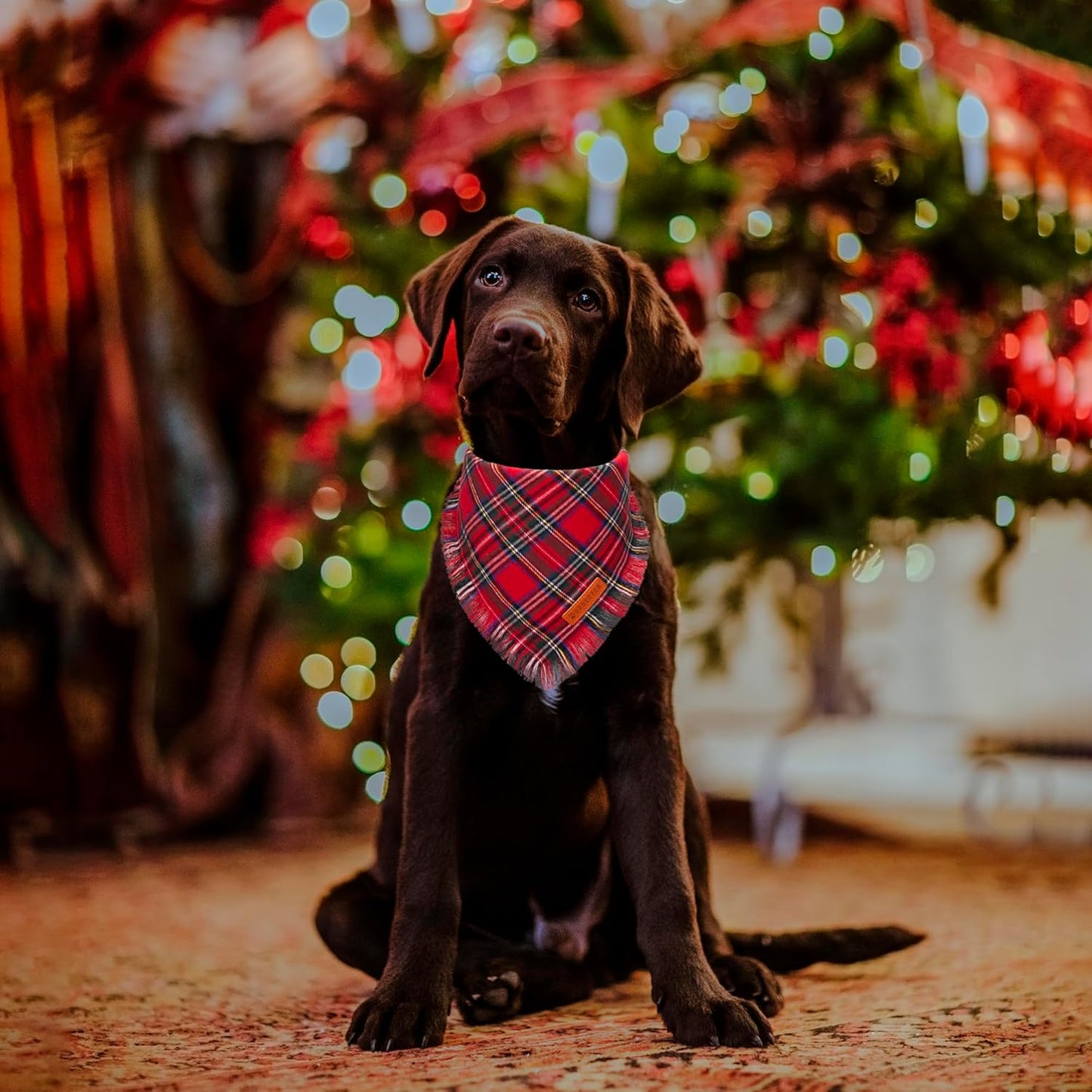 ADOGGYGO Christmas Dog Bandanas with Tassels, Stylish Plaid Dog Scarf Bib, Premium Cotton Fabric, Red Green Christmas Bandanas for Medium Large Dogs Pets (Large)
