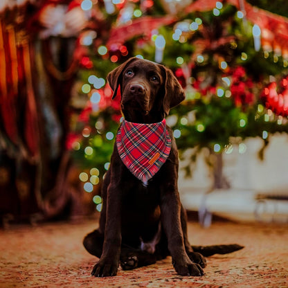 ADOGGYGO Christmas Dog Bandanas with Tassels, Stylish Plaid Dog Scarf Bib, Premium Cotton Fabric, Red Green Christmas Bandanas for Medium Large Dogs Pets (Large)