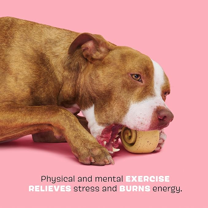 Barkbox Super Chewer Cinamutt Roll Treat Dispensing Toy for Dogs and Puppies, Medium and Large Dogs